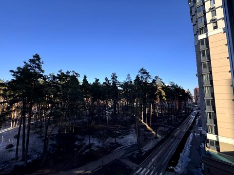 квартира за адресою Університетська вул., 3/8