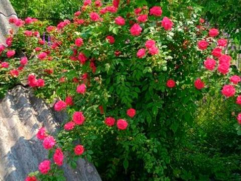 будинок за адресою Шахтарська вул., 88