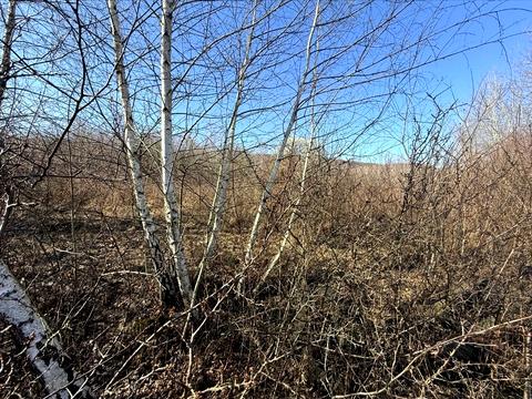 ділянка за адресою 