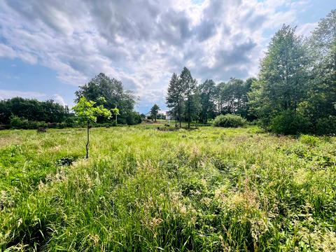 ділянка за адресою Лісова вул.