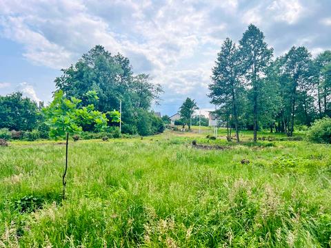 ділянка за адресою Лісова вул.