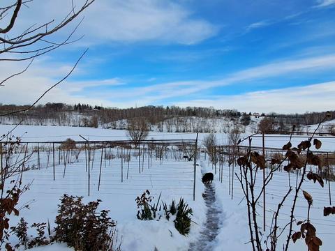 дом по адресу Зелена, 111