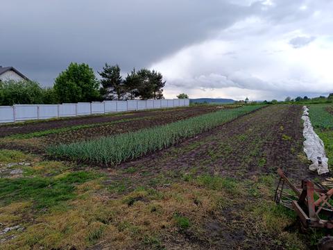 ділянка за адресою с. Великий Дорошів, 
