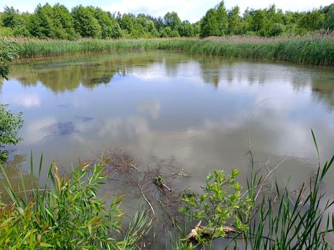 ділянка за адресою с. Старий Яр, незалежності