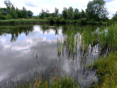 ділянка за адресою с. Старий Яр, незалежності