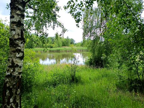 ділянка за адресою с. Старий Яр, незалежності