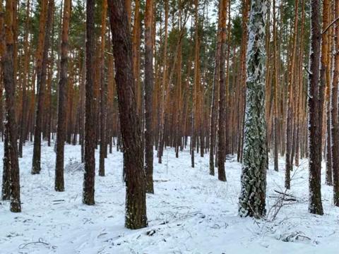 участок по адресу с. Юров, 