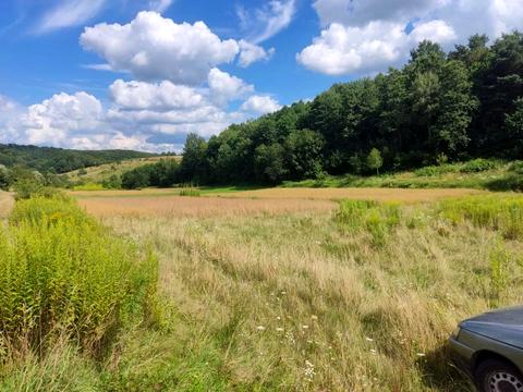 ділянка за адресою 