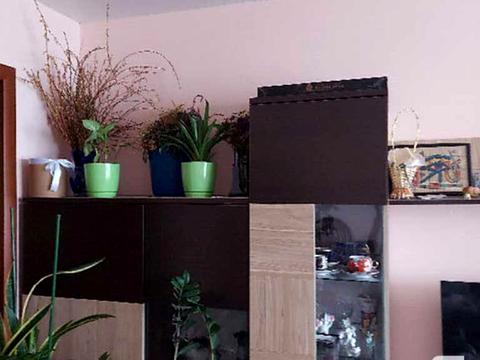 квартира за адресою Залізна вул., 42