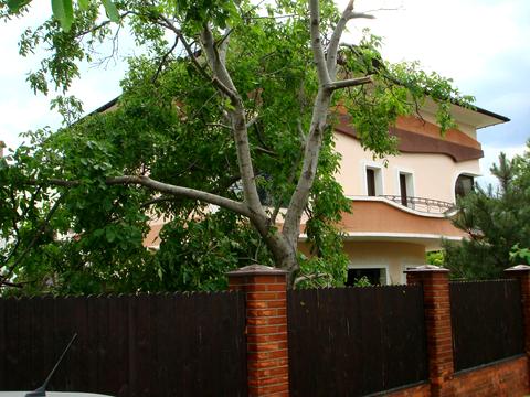 дом по адресу Французский бульв., 36