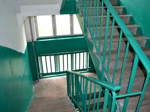 квартира по адресу Воскресенский просп. (Перова), 30-Б