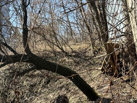 участок по адресу Олегівська, 10