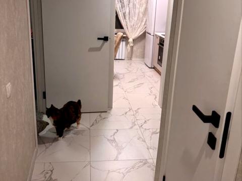 квартира за адресою Північно-Кільцева вул., 10