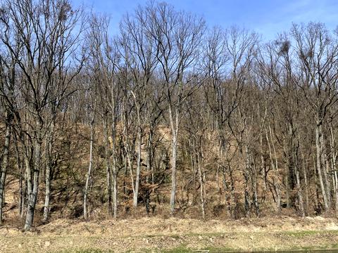 ділянка за адресою 