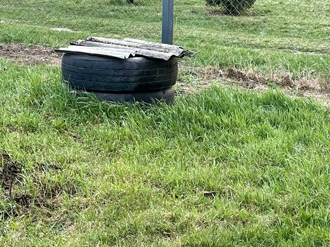 будинок за адресою Стуса В., 12