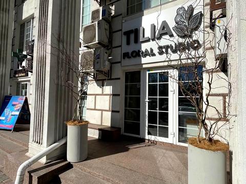 комерційна за адресою Михайла Максимовича вул. (Онуфрія Трутенка), 24-А