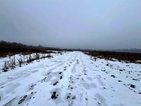 участок по адресу Єдності