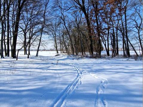 участок по адресу Єдності