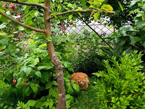 будинок за адресою Декабристів, 8