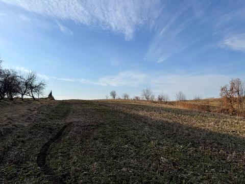 дом по адресу Залужська