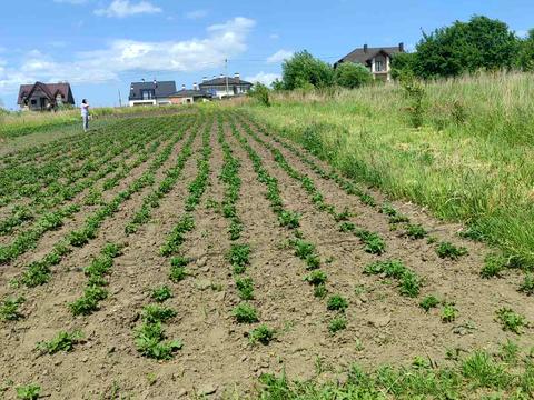 будинок за адресою Підгайкова, 40