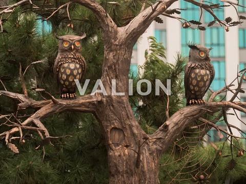 квартира за адресою с. Софіївська Борщагівка, Героїв Небесної Сотні просп., 16/22