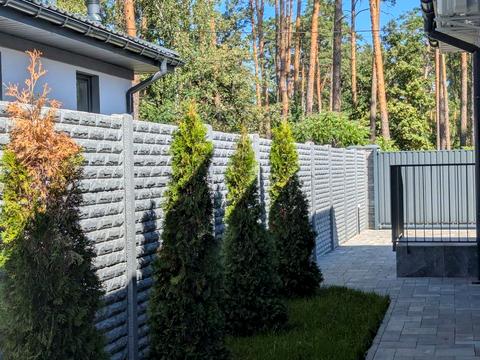 дом по адресу Антония Михайловского ул.