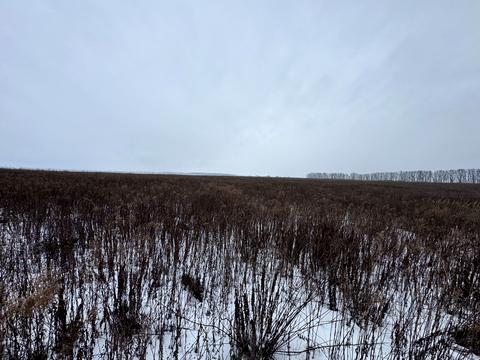 ділянка за адресою с. Агрономічне, Прибережний