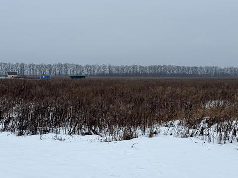 ділянка за адресою с. Агрономічне, Прибережний