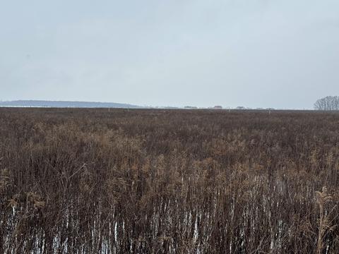 ділянка за адресою с. Агрономічне, Прибережний