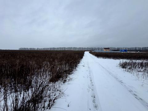 ділянка за адресою с. Агрономічне, Прибережний