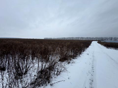 ділянка за адресою с. Агрономічне, Прибережний