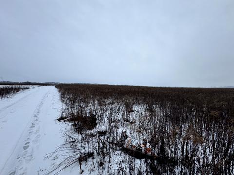 ділянка за адресою с. Агрономічне, Прибережний