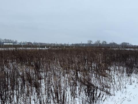 ділянка за адресою с. Агрономічне, Прибережний