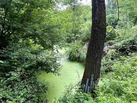 будинок за адресою Трушівка, 10