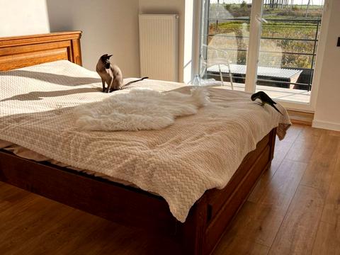 дом по адресу Сагайдачного ул., 52