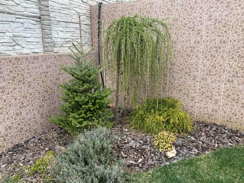 будинок за адресою Хмельницького, 1