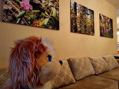 квартира по адресу Владимира Ивасюка просп. (Героїв Сталінграду), 12-Є