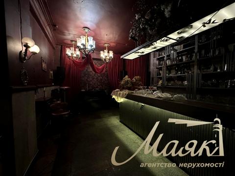 комерційна за адресою Шота Руставелі вул., 17