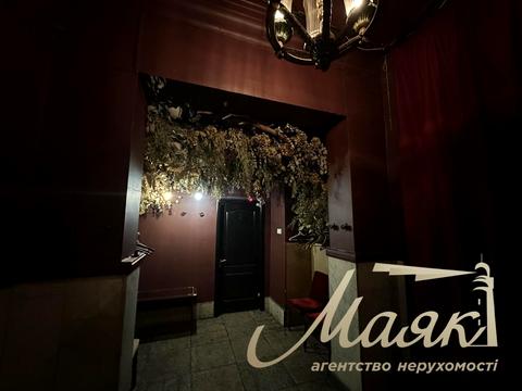 комерційна за адресою Шота Руставелі вул., 17