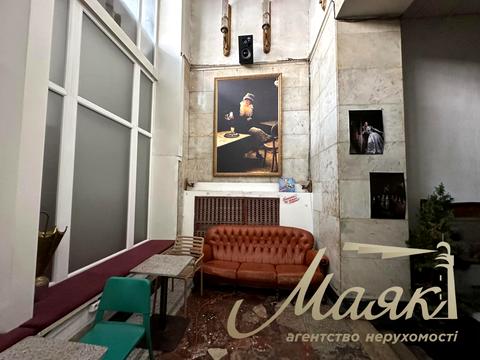 комерційна за адресою Шота Руставелі вул., 17