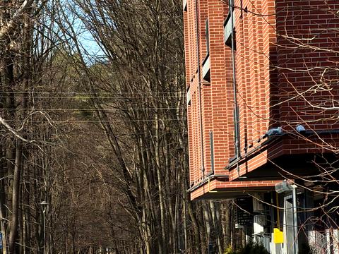 квартира по адресу Курортний проезд, (Будинок)