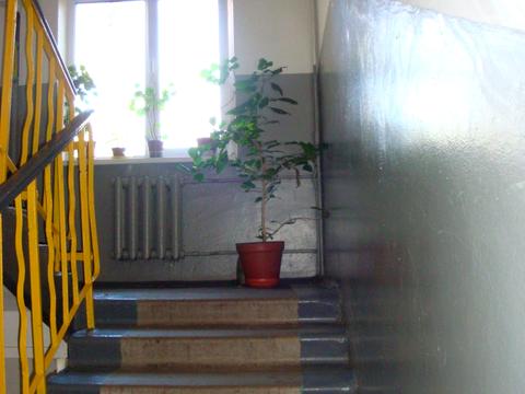 квартира за адресою Миколи Василенка вул., 14-Б