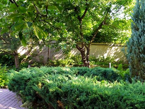 будинок за адресою с. Новоолександрівка, Парковая, 100