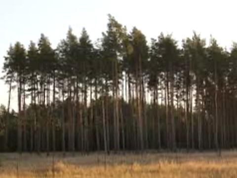 ділянка за адресою Михайленка, 56
