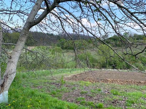 дом по адресу Центральна