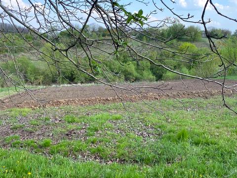 дом по адресу Центральна