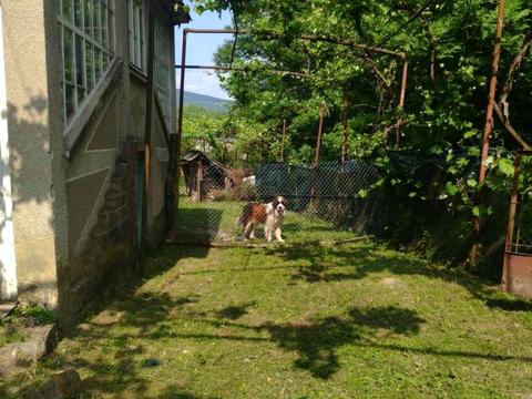 дом по адресу Перемоги