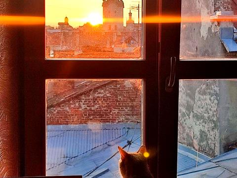 квартира за адресою Гетьмана Петра Дорошенка вул. (Жовтнева), 19