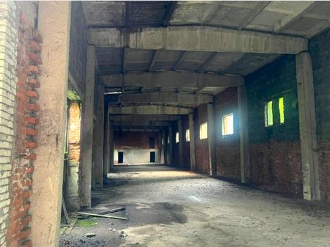 комерційна за адресою Берегівська-об'їзна вул., 25